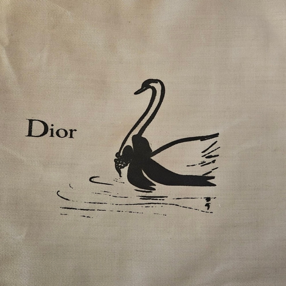 Dior Protective Bag